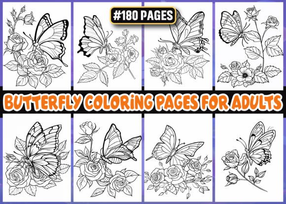 Butterfly Coloring Pages for Adult -KDP